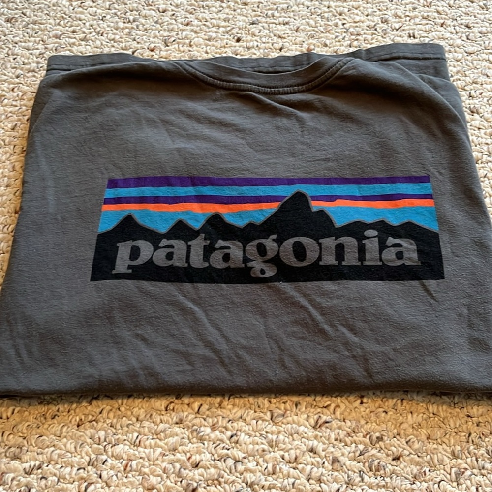 Patagonia T shirt